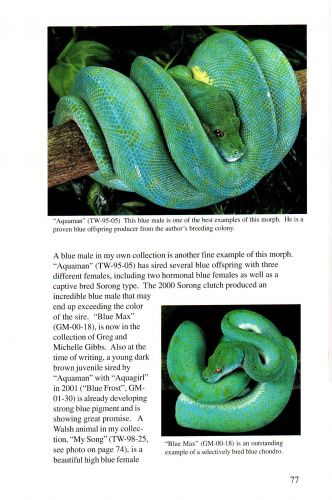 Книга: Complete Chondro:A Comprehensive Guide to the Care and Breeding of the Green Tree Python 2003