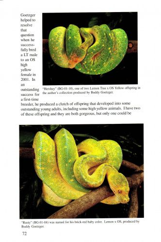 Книга: Complete Chondro:A Comprehensive Guide to the Care and Breeding of the Green Tree Python 2003