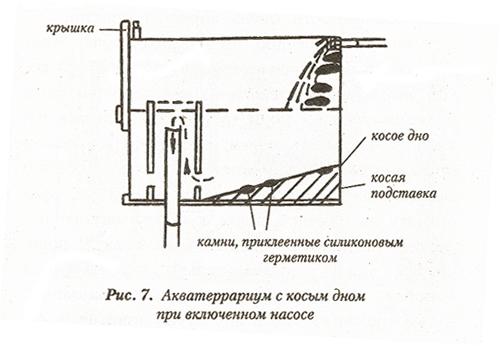 aquarium_anakonds07.jpg