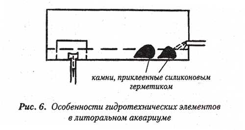 aquarium_anakonds06.jpg