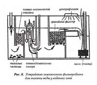 aquarium_anakonds08_small.jpg