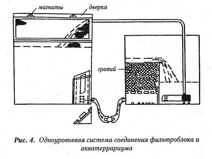 aquarium_anakonds04.jpg