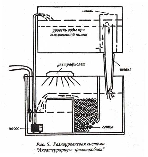 aquarium_anakonds05.jpg