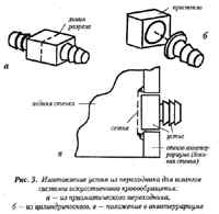 aquarium_anakonds03_small.jpg