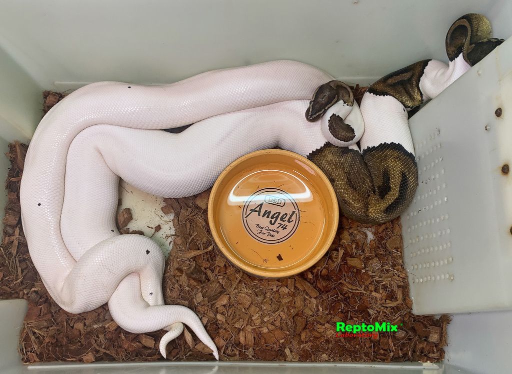 7L_.jpg