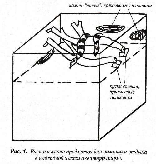 aquarium_anakonds 01.jpg